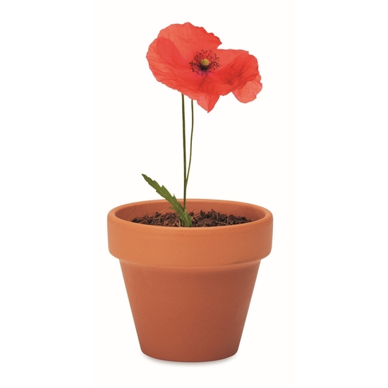 RED POPPY