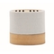 Wireless Lautsprecher