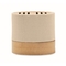 Wireless Lautsprecher
