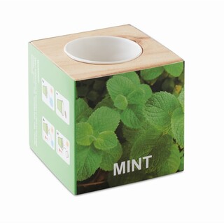 Kräuterpflanz-Set "Minze''