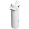 Stanley IceFlow™ 2.0 700 ml Flasche mit Flip-Trinkhalm