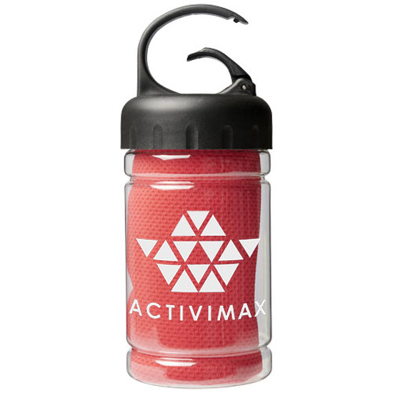 Remy Kühlhandtuch in PET-Behälter