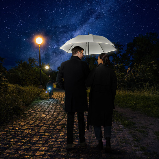 AC-Midsize-Stockschirm FARE® Windmatic®