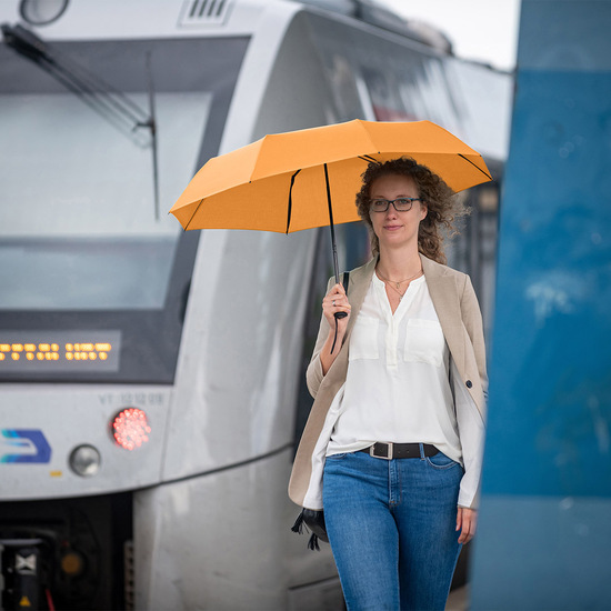 Topless-Taschenschirm