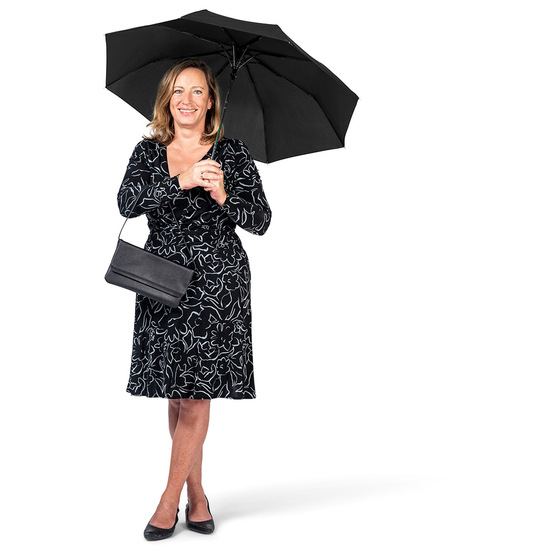 AC-Mini-Taschenschirm