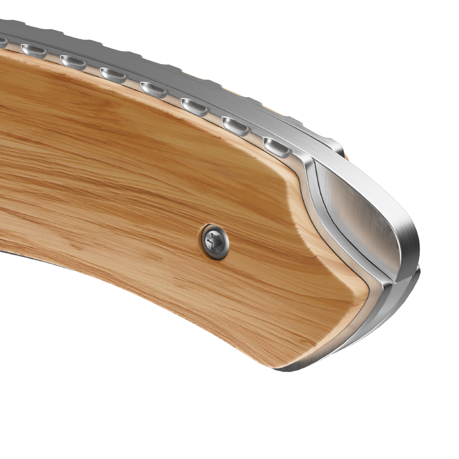 RICHARTZ® LEO 200 olive