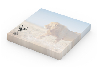 Haftnotizblock Basic 72 × 72 mm Format quadratisch, Blattanzahl 100