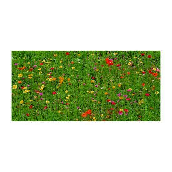 Ein leckerer Piccolo Secco (0,2 l) und eine Eierschachtel mit 6 bunten Blumenmurmeln. Einfach auf die Erde auswerfen & auf den Regen warten.