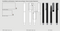Klio-Eterna - Flute rollerball softtouch PPs - Tintenroller