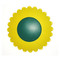 Glas-Abdeckung Sunflower