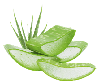 Erfrischungsspray Etik 50 ml