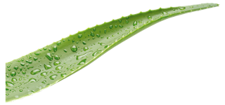 Erfrischungsspray Etik 50 ml