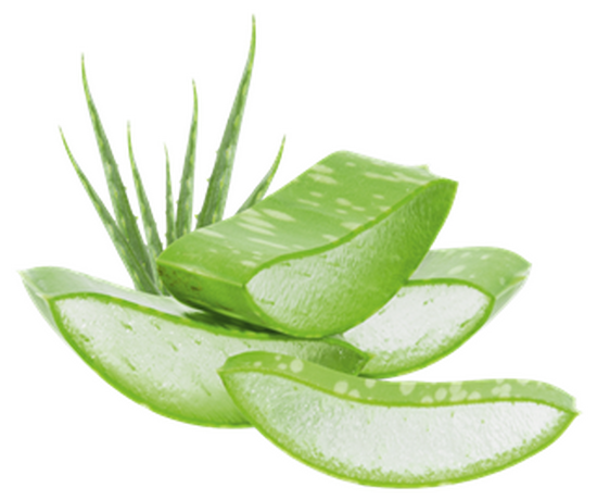 Erfrischungsspray Etik 50 ml