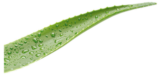 Erfrischungsspray Etik 50 ml