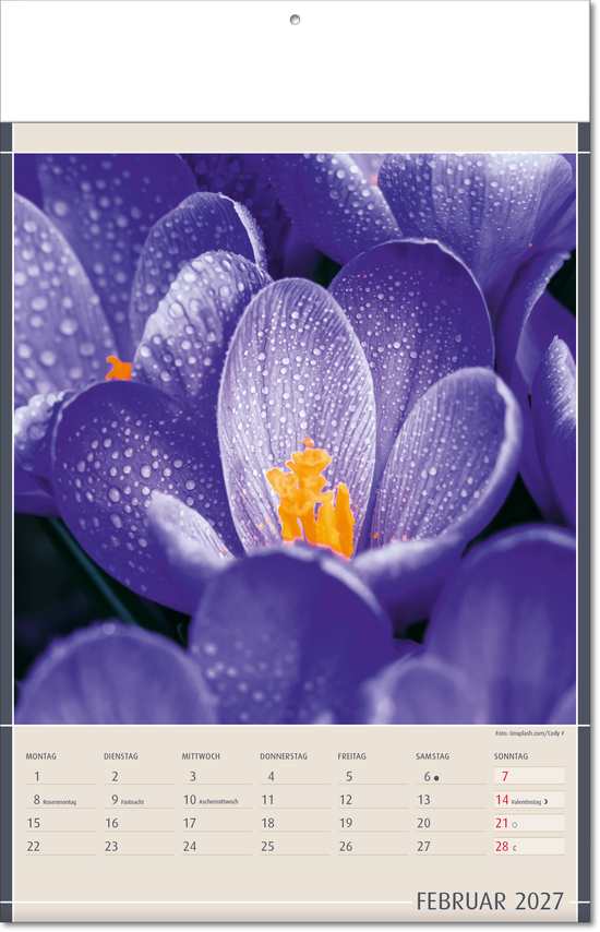 Bildkalender Fundstücke der Natur, Fälzel