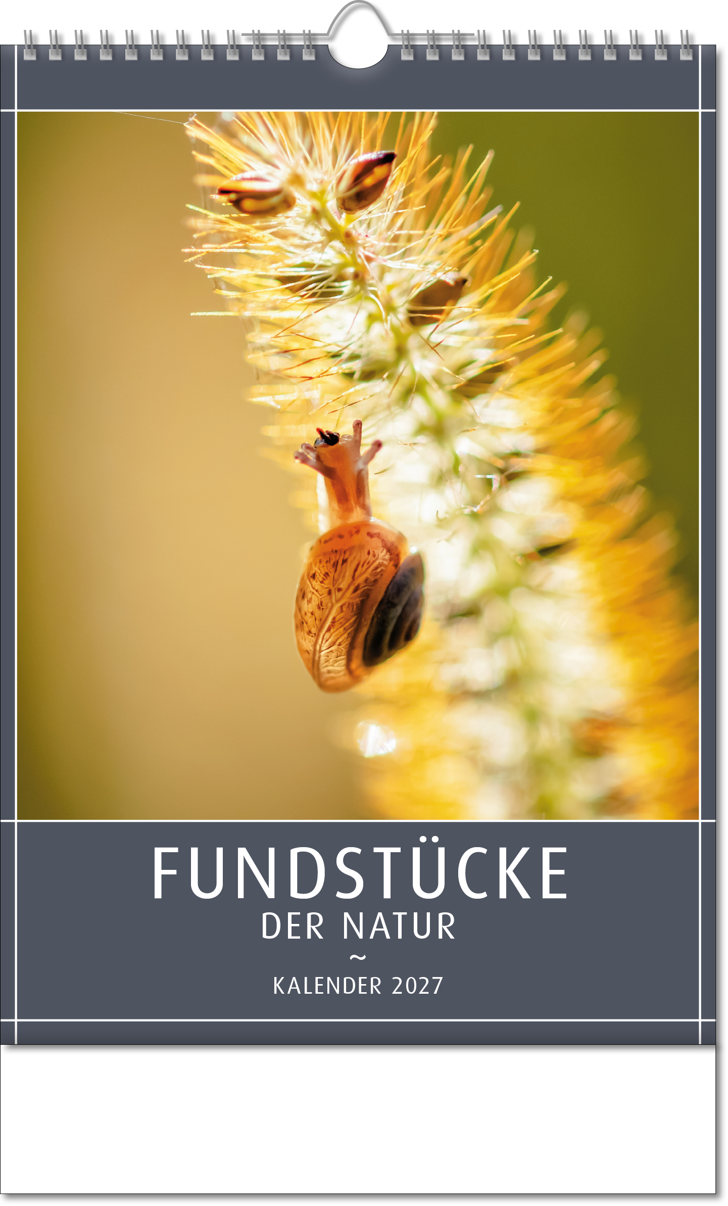 Bildkalender Fundstücke der Natur, Wire