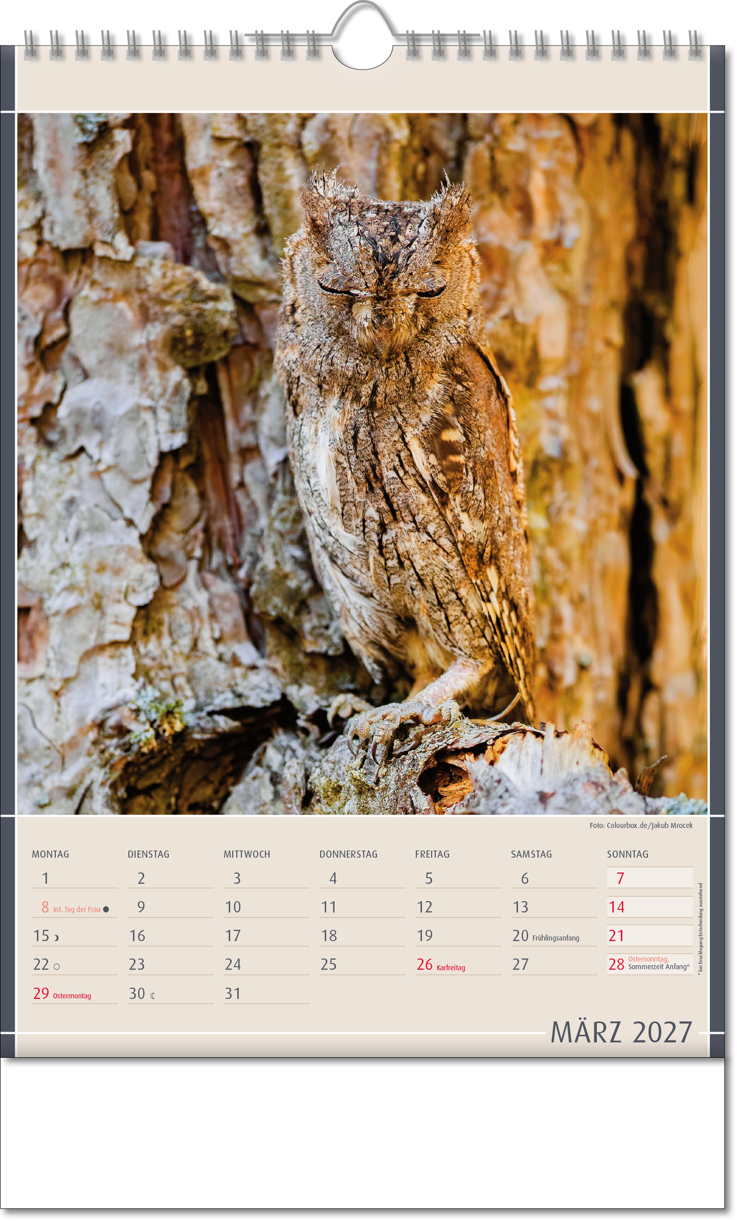 Bildkalender Fundstücke der Natur, Wire