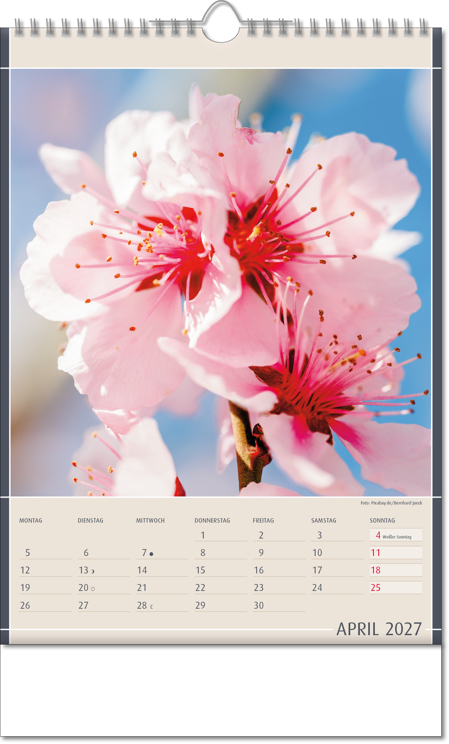 Bildkalender Fundstücke der Natur, Wire