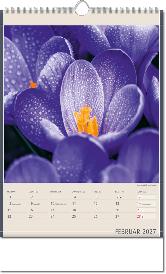 Bildkalender Fundstücke der Natur, Wire