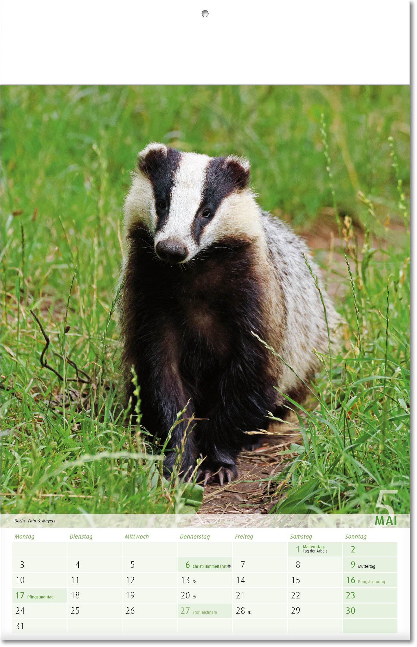 Bildkalender Blick ins Tierreich, Fälzel