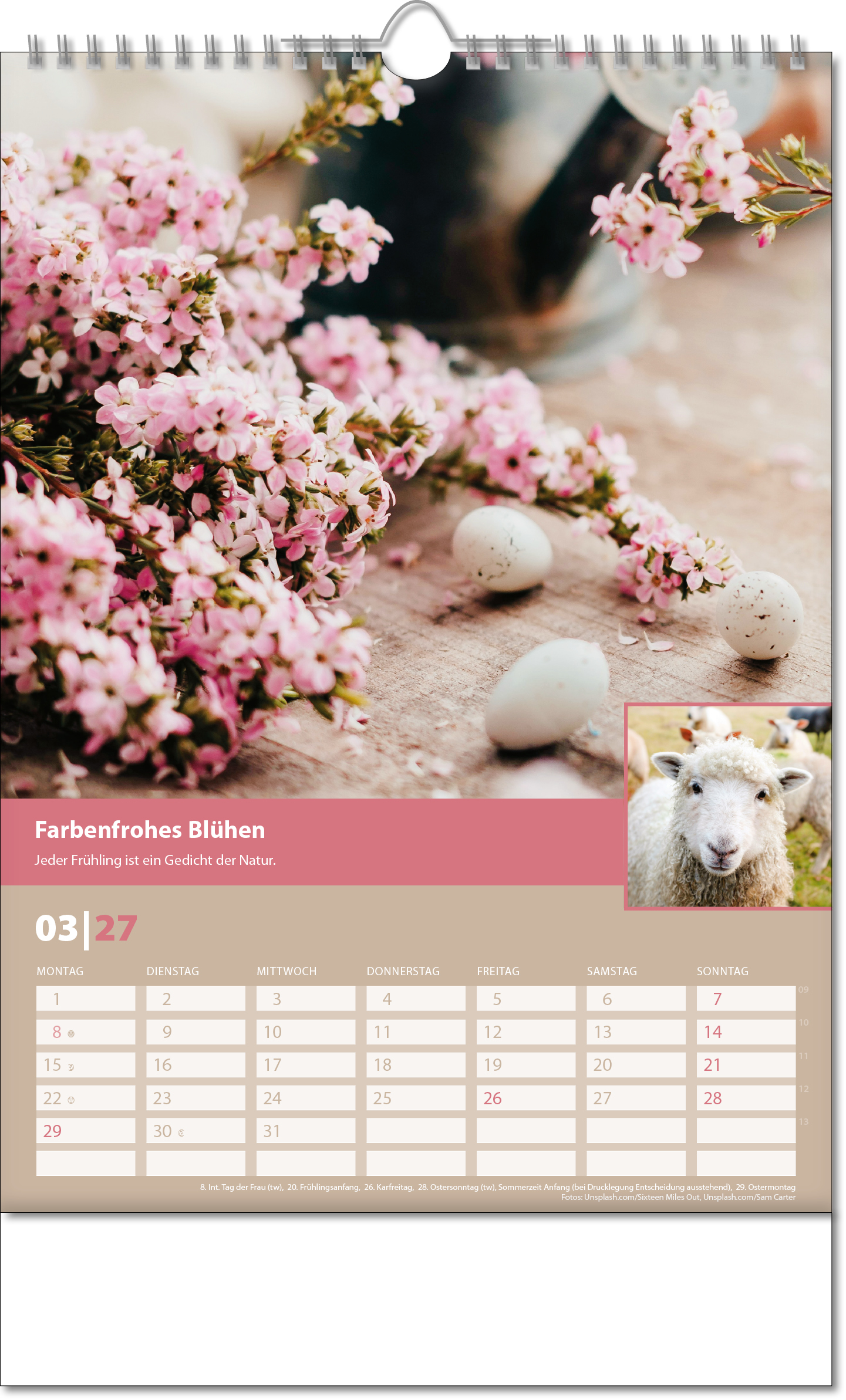 Bildkalender Landlaune, Wire