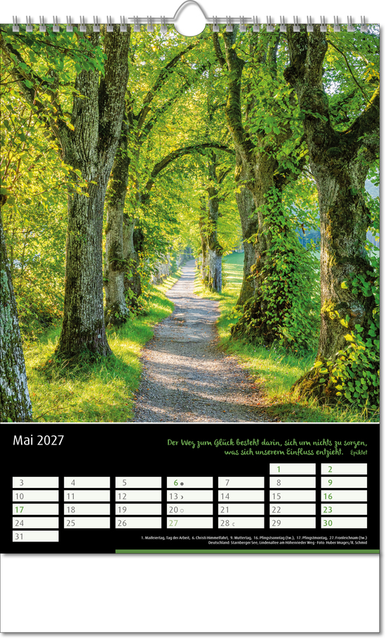 Bildkalender Emotion, Wire
