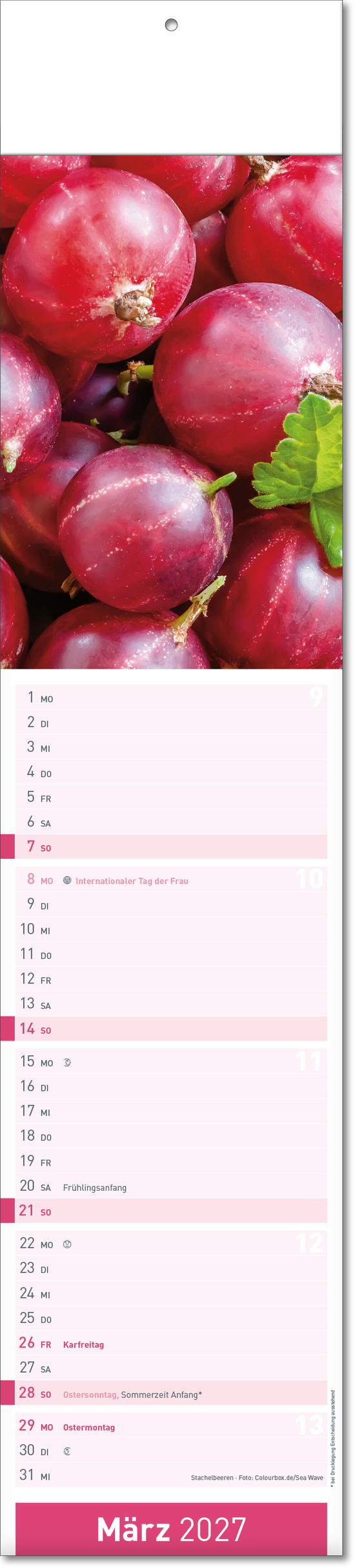 Bildstreifenkalender Fresh, Fälzel