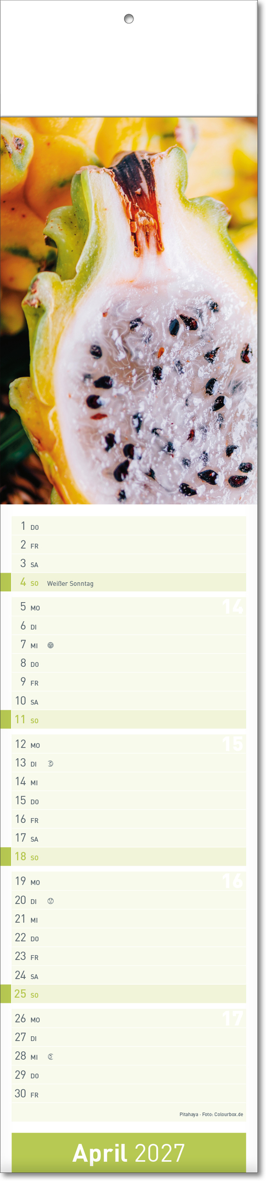 Bildstreifenkalender Fresh, Fälzel