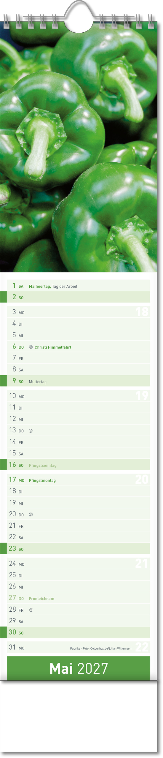 Bildstreifenkalender Fresh, Wire