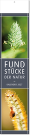 Bildstreifenkalender Fundstücke der Natur, Fälzel