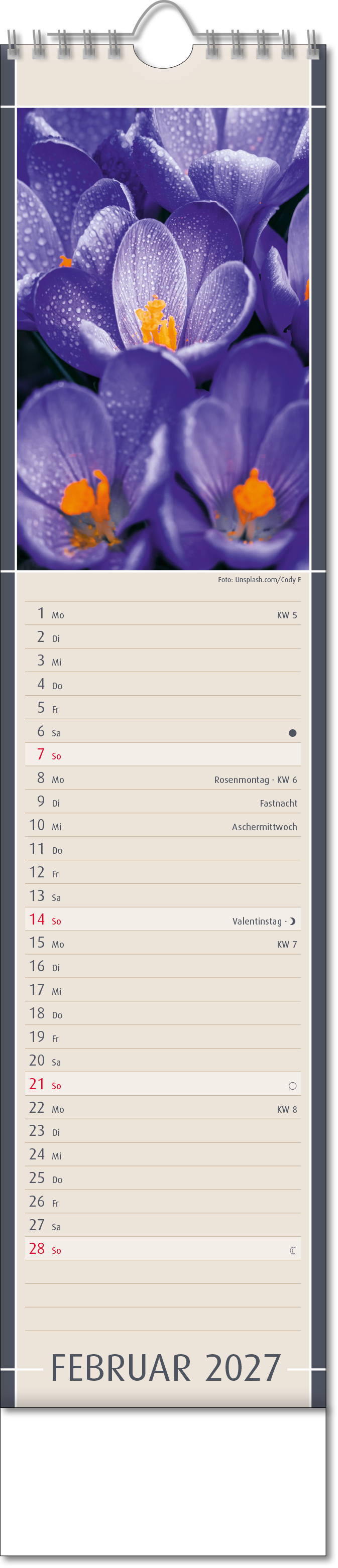 Bildstreifenkalender Fundstücke der Natur, Wire