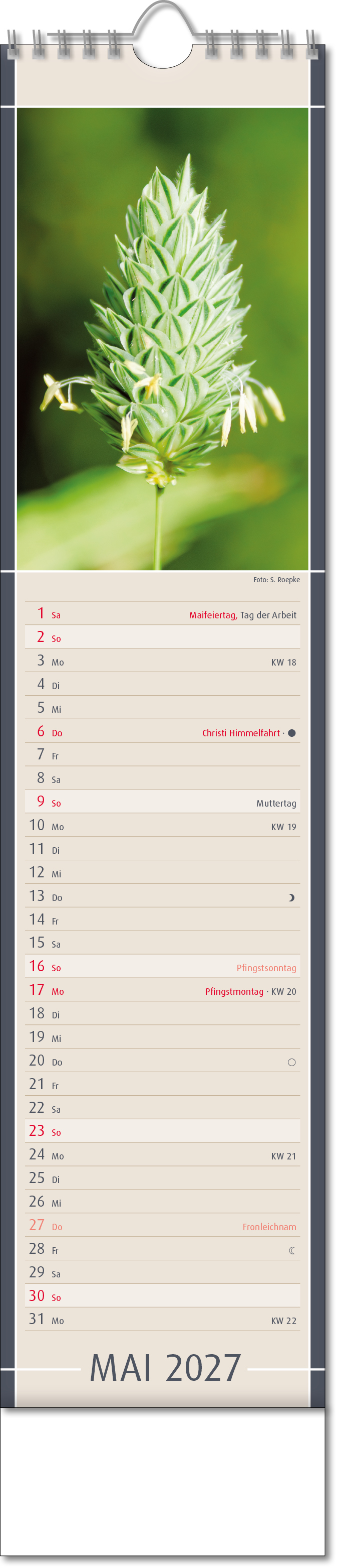 Bildstreifenkalender Fundstücke der Natur, Wire