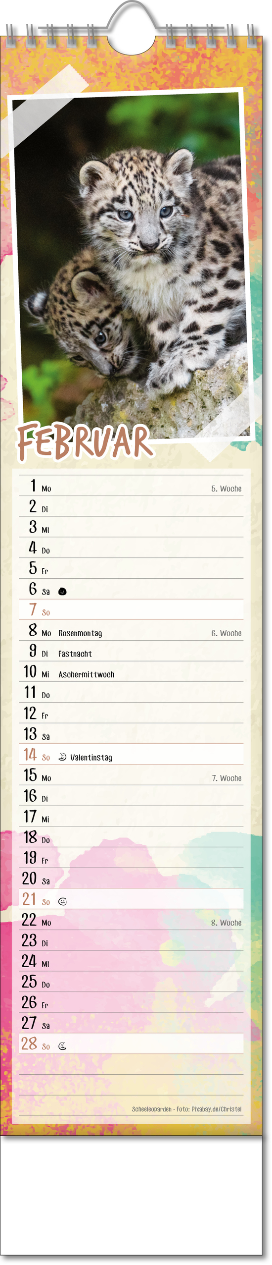 Bildstreifenkalender Tierbabys, Wire