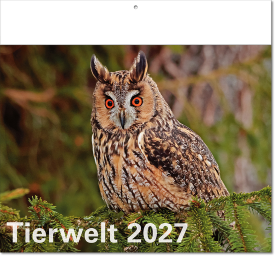 Tierwelt