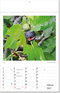Bildkalender Botanica, Fälzel
