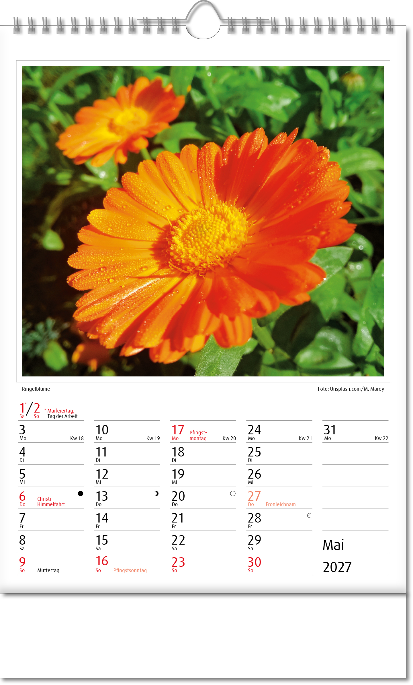 Bildkalender Botanica, Wire