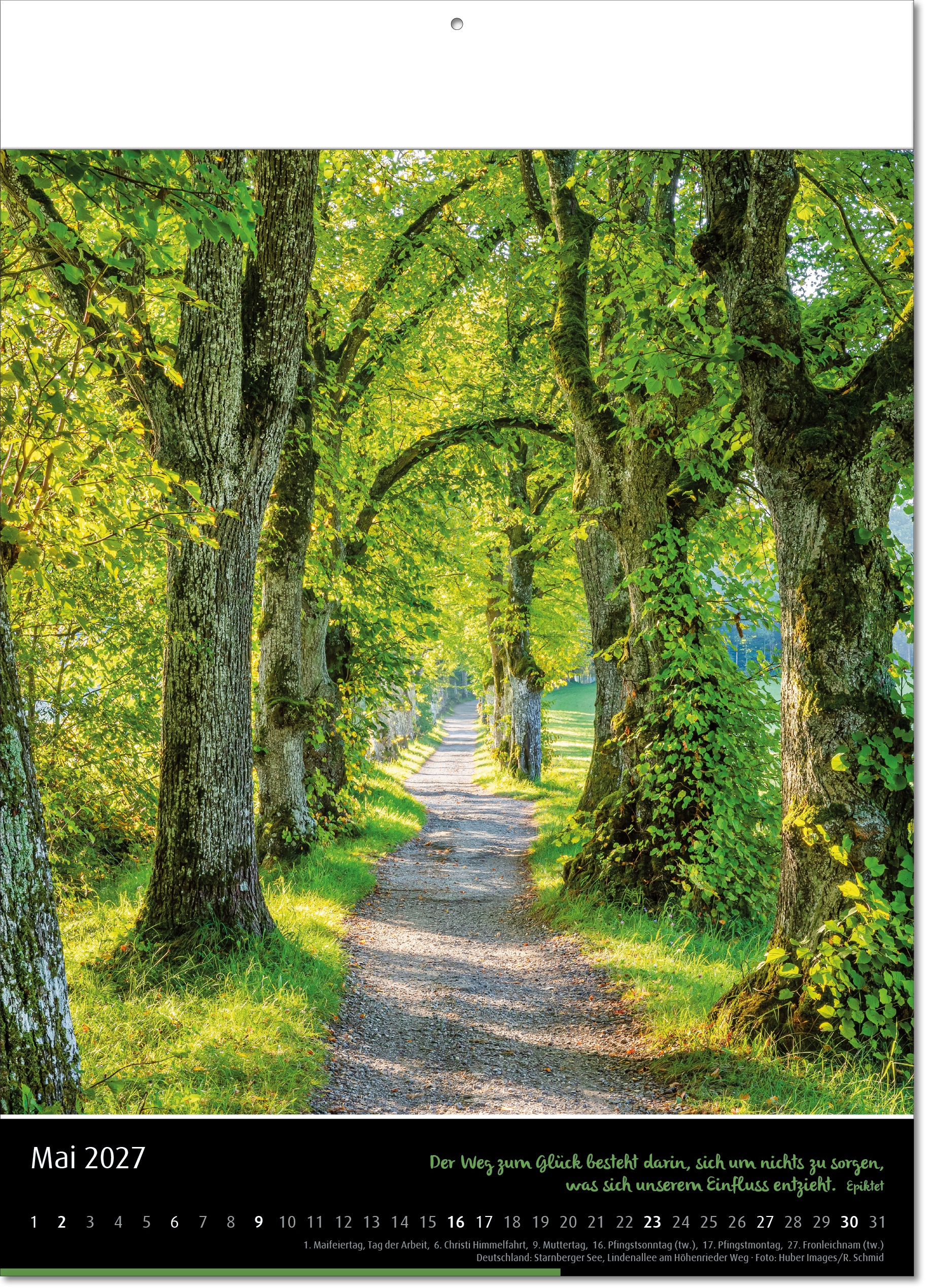 Kalender Emotion, Fälzel