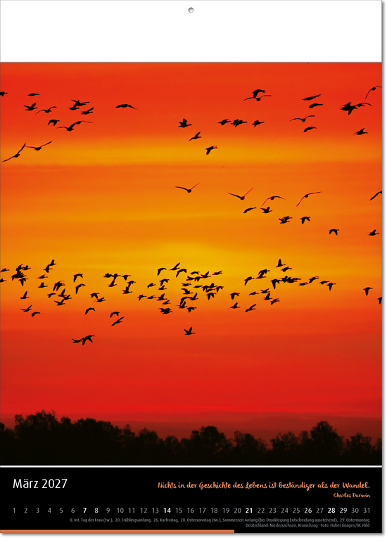 Kalender Emotion, Fälzel