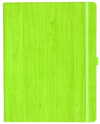 Notizbuch Style Large im Format 19x25cm, Inhalt kariert, Einband Woody in der Farbe Lime