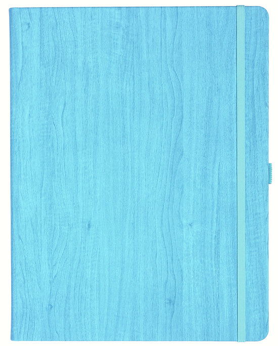 Notizbuch Style Large im Format 19x25cm, Inhalt kariert, Einband Woody in der Farbe Sky