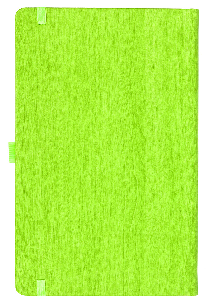 Notizbuch Style Medium im Format 13x21cm, Inhalt blanco, Einband Woody in der Farbe Lime
