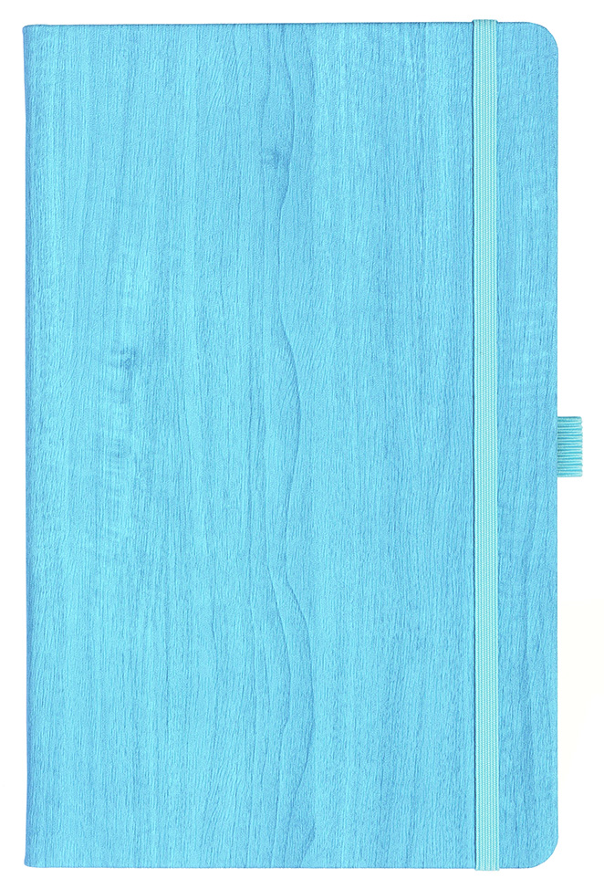 Notizbuch Style Medium im Format 13x21cm, Inhalt blanco, Einband Woody in der Farbe Sky