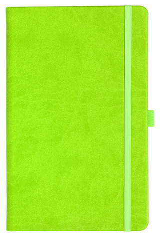 Notizbuch Style Medium im Format 13x21cm, Inhalt kariert, Einband Slinky in der Farbe Lime