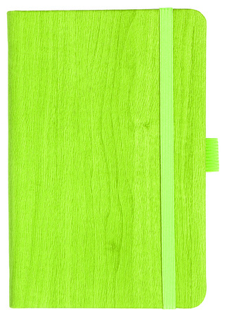 Notizbuch Style Small im Format 9x14cm, Inhalt blanco, Einband Woody in der Farbe Lime
