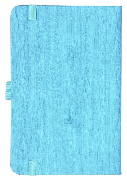 Notizbuch Style Small im Format 9x14cm, Inhalt blanco, Einband Woody in der Farbe Sky
