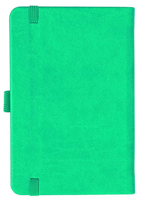 Notizbuch Style Small im Format 9x14cm, Inhalt kariert, Einband Slinky in der Farbe Turquoise