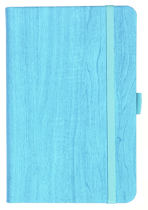 Notizbuch Style Small im Format 9x14cm, Inhalt kariert, Einband Woody in der Farbe Sky