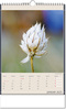 Kalender "Fundstücke der Natur" im Format 24 x 38,5 cm, mit Wire-O Bindung und verlängerter Rückwand