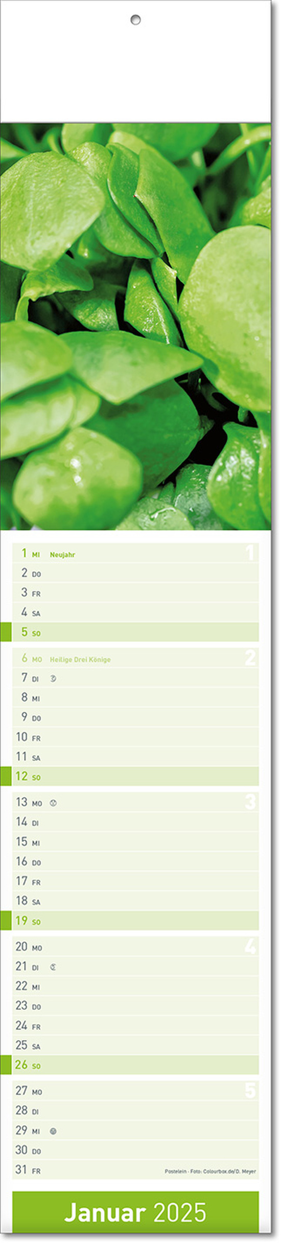 Kalender "Fresh" im Format 11 x 50 cm, mit Fälzel