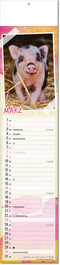 Kalender "Tierbabys" im Format 11 x 50 cm, mit Fälzel